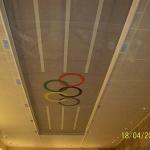 PVC Mesh Membran Halat Taşıyıcılı Tavan Sistemi